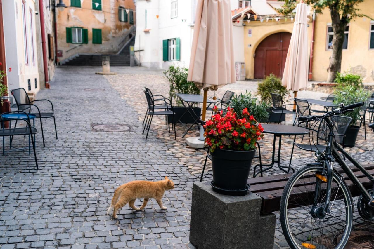 Charming Studio Ideal For Getaways Or Workations In Sibiu'S Medieval City Center Exteriör bild